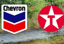 Juez falla a favor de empresa Chevron, contra Ecuador