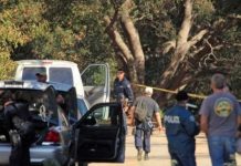 Arrestan a sospechoso de asesinato de hombre cuya cabeza apareció en famoso letrero de Hollywood