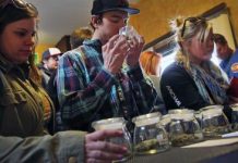Colorado logra 3,5 millones de dólares en impuestos de la marihuana en primer mes de venta