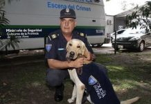 Perro labrador rescata a niño de 2 años perdido en la Pampa argentina