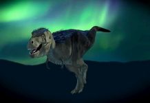 Descubren en Alaska un ‘pariente pigmeo’ del famoso Tiranosaurio rex