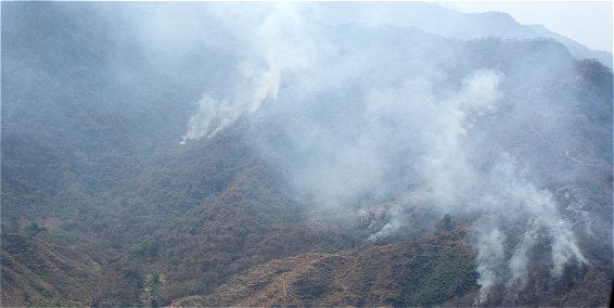 images_SECCIONES_PAGINA_WEB_CRONICATN8_INTERNACIONALES_2014_Marzo_DEL_31_AL_6_ABRIL__bosque-colombianos-incendiados-31032014
