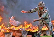 Bolivia incinera 1,6 toneladas de cocaína proveniente de Perú