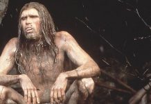 Europeos prehistóricos utilizaban drogas y alcohol para acceder al mundo espiritual