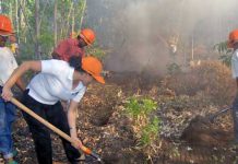 Gobierno preocupado por alto número de incendios forestales