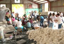 Foto: ENABAS almacena anualmente 1,700,000 quintales de granos básicos /Cortesía