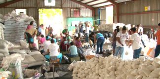 Foto: ENABAS almacena anualmente 1,700,000 quintales de granos básicos /Cortesía