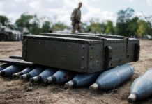 Kiev reconoce que países de la OTAN empezaron a suministrarle armas