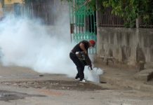 Dos casos de chikungunya en Chinandega