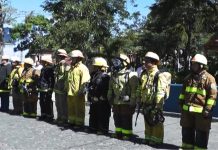 Cumplen 39 años de servicios