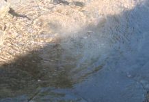 Se quejan de tanto desperdicio de agua