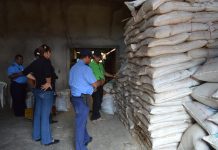Chinandega: Desmantelan laboratorio clandestino de agroquímicos