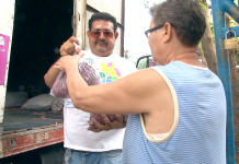 Frijol lleva ahorro a familias