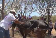 Capacitando al campesino nicaragüense a través del Magfor