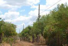 ENATREL inaugura proyecto de electrificación en Cooperativa Pablo Úbeda, Mateare