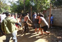 Bomberos rescatan a caballo de letrina