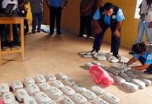 Rivas destaca en cantidad de droga incautada durante 2013