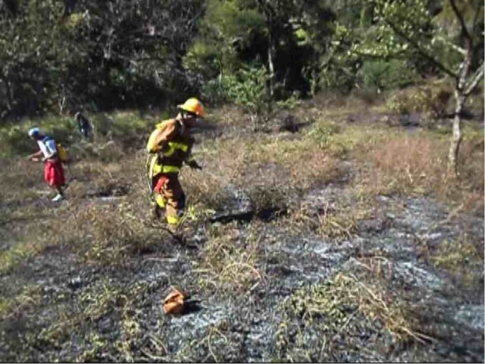 images_SECCIONES_PAGINA_WEB_CRONICATN8_SUCESOS_2014_FEBRERO_DEL_10_AL_16_BOMBEROS_SOFOCAN10