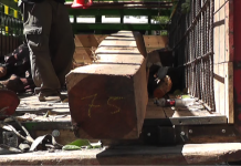 Decomisan madera en Boaco
