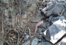 Encuentran cuerpo de joven asesinada