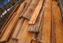 Logran incautar más de 5 mil pulgadas de madera
