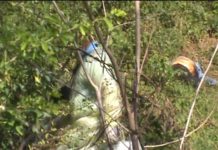 Agente encubierto encuentra cadáver de una mujer