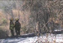 Incendio forestal devoró más de dos manzanas de bosque