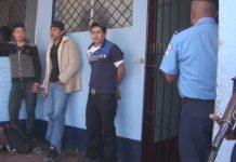 Caen abastecedores estelianos de marihuana