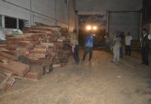 Decomisan madera de gran valor