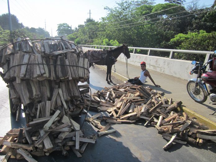 images_SECCIONES_PAGINA_WEB_CRONICATN8_SUCESOS_2014_MARZO_DEL_17_AL_23_CABALLO_REVELA21