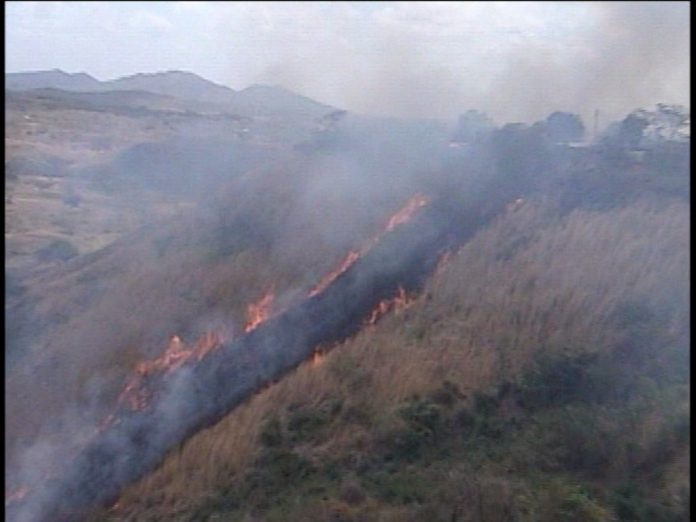 images_SECCIONES_PAGINA_WEB_CRONICATN8_SUCESOS_2014_MARZO_DEL_24_AL_30_INCENDIO25032014
