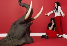 Regresa el exitoso Elephant