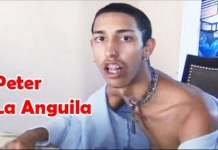 Peter «La Anguila» & Pitbull