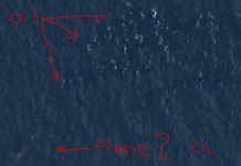 Courtney Love cree haber dado con el avión malasio desaparecido