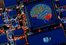 Chips con cabeza: hacia un cerebro artificial
