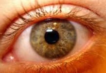 Fotografías de los ojos pueden revelar con quién y dónde estas