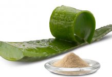 Beneficios del aloe vera
