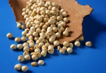 ¿Garbanzos para curar el vitíligo?