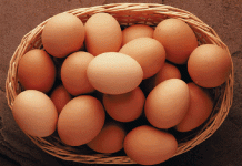Alimentos que contienen omega 6