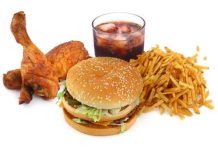 La comida chatarra afecta la memoria