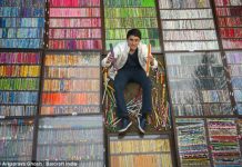 El gran coleccionista: Un adolescente con más de 14.000 lápices