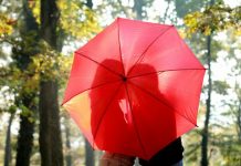 Consejos para encontrar un nuevo amor