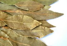Beneficios del laurel para la salud