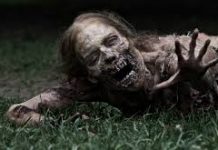 Anuncian parodia de The Walking Dead para el cine
