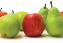 10 alimentos nutritivos que te harán sentir ‘satisfecha’ sin perder la línea