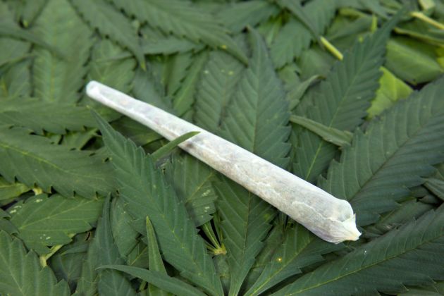 images_SECCIONES_PAGINA_WEB_Tendencias_2014_FEBRERO_DEL_17_AL_23_marihuana-18022014