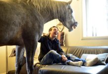 Médico comparte una casa con su caballo