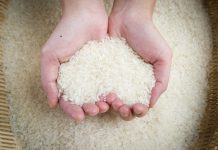 Cómo bajar de peso con la dieta del arroz
