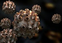 Abecé del Virus de Papiloma Humano