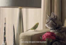 En Video: Las locas ideas de los publicistas para crear comerciales adorables